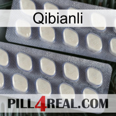 Qibianli 07